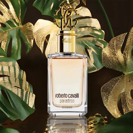 ROBERTO CAVALLI (للنساء)