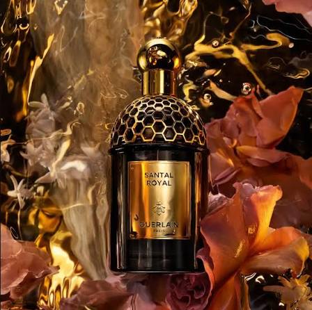 ROYAL SANTAL (للرجال)